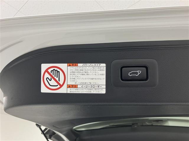 アルファード 2.5S タイプゴールドII ドライブレコーダ LEDランプ Bカメラ スマートキ AC100V フルセグTV 盗難防止システム ワンオーナー ダブルエアコン 助手席エアバッグ ETC DVD 記録簿 オートクルーズ 3列シート(32枚目)