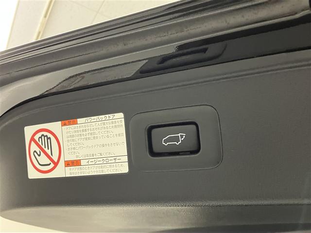 アルファード 2.5S Cパッケージ 両電動ドア Bモニタ 地デジ エアロ 定期点検記録簿 DVD再生可能 パノラマルーフ リアオートエアコン ナビテレビ 横滑り防止 クルコン AC100V電源 セキュリティ ETC車載器 スマートキー(33枚目)