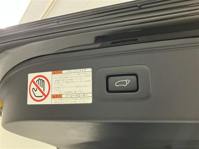 アルファードハイブリッド エグゼクティブラウンジＳ　ＬＥＤランプ　サンルーフ　ダブルエアコン　４ＷＤ　アルミ　ミュージックプレイヤー接続可　ＤＶＤプレーヤー　ＥＴＣ　ドラレコ　クルーズコントロール　スマートキー　電動シート　ＡＣ１００Ｖ　ＰＷ　キーレス（33枚目）