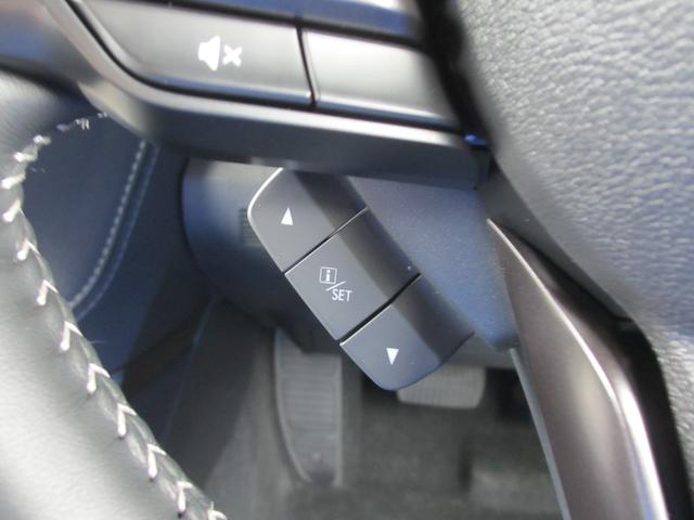 フォレスター ＳＴＩスポーツ　ブラックインテリアセレクション　レザー　２年間走行距離無制限部分保証付き　ワンオーナー　ブラックレザーシート　新世代アイサイト搭載　衝突被害＆後退時被害軽減ブレーキ　後側方警戒＆停止保持システム　スマートリヤビューカメラ　ナビ　３方向カメラ（31枚目）