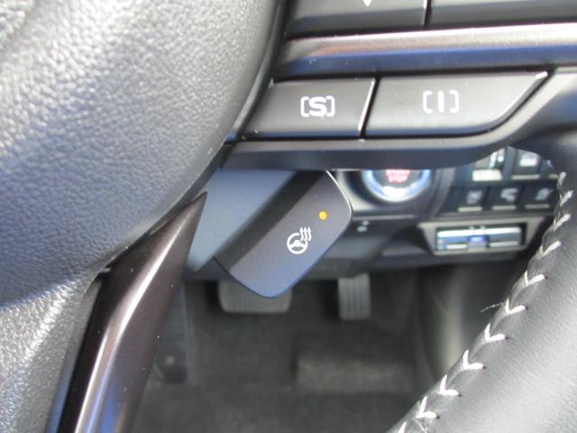 フォレスター ＳＴＩスポーツ　ブラックインテリアセレクション　レザー　２年間走行距離無制限部分保証付き　ワンオーナー　ブラックレザーシート　新世代アイサイト搭載　衝突被害＆後退時被害軽減ブレーキ　後側方警戒＆停止保持システム　スマートリヤビューカメラ　ナビ　３方向カメラ（32枚目）