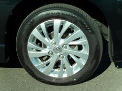 ­������������̥���륢��ߥۥ����������� 5