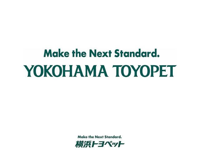 プログレス メタル アンド レザーパッケージ ターボ 衝突軽減S メーカーナビ フルセグ 全周囲カメラ ドライブレコーダー パワーバックドア(48枚目)