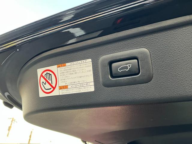 アルファード ２．５Ｓ　Ｃパッケージ　走行２５４４９ｋｍ／ディスプレィオーディオ／ＣＤ／ＤＶＤ再生／ＢＴ接続／１２セグ／バックカメラ／フリップダウンモニター／ＥＴＣ／両側パワースライドドア／電動レザーシート／（35枚目）