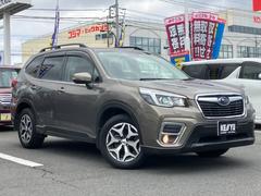 趯ɤȯǤ͡ˤŪǤϤޤܼ֤λԾʤŪ˹ƭƤޤ⤯Ѥʤ麣󥹤Ǥ󤪵ͤΰ̵֤ꤵƲ 3