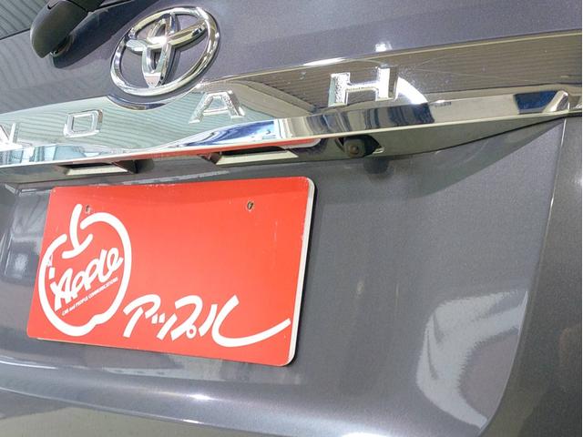 ノア X ナビ・ETC・フルセグTV・両側スライドドア・バックカメラ・2列目両側回転シート付(19枚目)