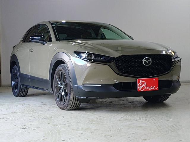 CX-30 XD レトロスポーツエディション ナビ・ETC・フルセグTV・全方位モニター・ドラレコ前後・運転席側パワーシート・パワーバックドア付(3枚目)