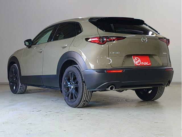 CX-30 XD レトロスポーツエディション ナビ・ETC・フルセグTV・全方位モニター・ドラレコ前後・運転席側パワーシート・パワーバックドア付(7枚目)