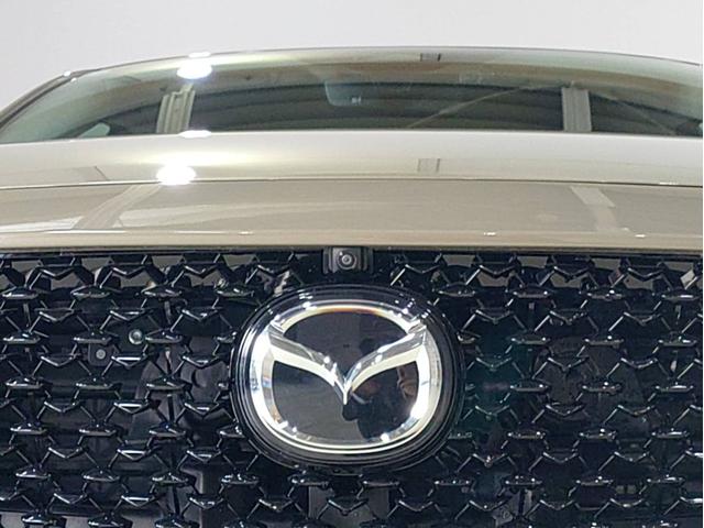 CX-30 XD レトロスポーツエディション ナビ・ETC・フルセグTV・全方位モニター・ドラレコ前後・運転席側パワーシート・パワーバックドア付(15枚目)