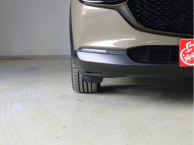 CX-30 XD レトロスポーツエディション ナビ・ETC・フルセグTV・全方位モニター・ドラレコ前後・運転席側パワーシート・パワーバックドア付(17枚目)