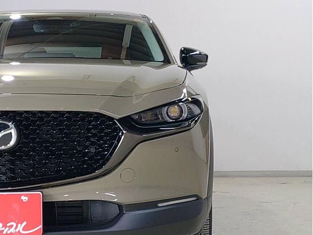 CX-30 XD レトロスポーツエディション ナビ・ETC・フルセグTV・全方位モニター・ドラレコ前後・運転席側パワーシート・パワーバックドア付(18枚目)