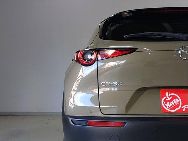 CX-30 XD レトロスポーツエディション ナビ・ETC・フルセグTV・全方位モニター・ドラレコ前後・運転席側パワーシート・パワーバックドア付(21枚目)
