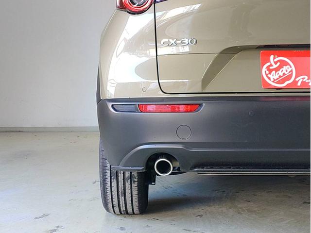 CX-30 XD レトロスポーツエディション ナビ・ETC・フルセグTV・全方位モニター・ドラレコ前後・運転席側パワーシート・パワーバックドア付(22枚目)