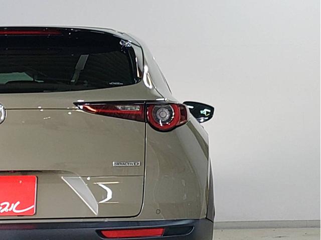 CX-30 XD レトロスポーツエディション ナビ・ETC・フルセグTV・全方位モニター・ドラレコ前後・運転席側パワーシート・パワーバックドア付(23枚目)