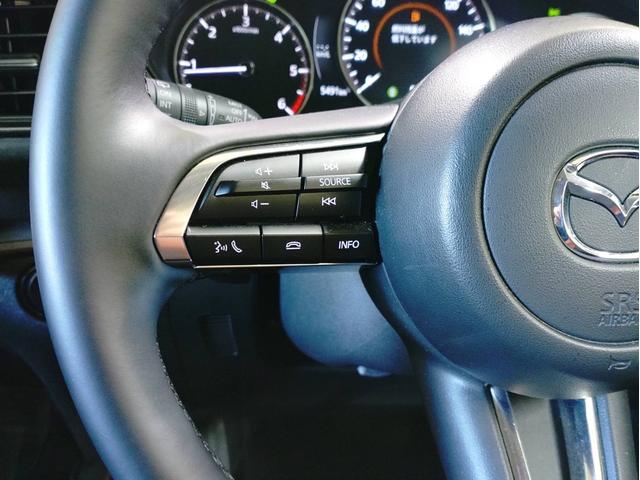 CX-30 XD レトロスポーツエディション ナビ・ETC・フルセグTV・全方位モニター・ドラレコ前後・運転席側パワーシート・パワーバックドア付(51枚目)