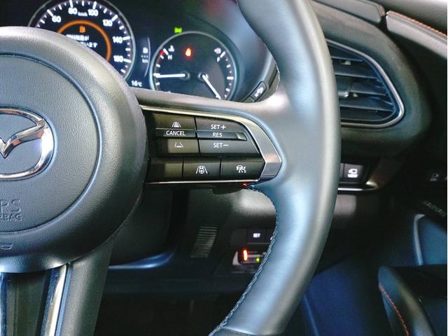 CX-30 XD レトロスポーツエディション ナビ・ETC・フルセグTV・全方位モニター・ドラレコ前後・運転席側パワーシート・パワーバックドア付(53枚目)