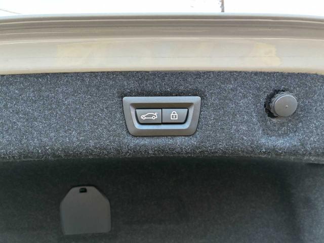 ５シリーズ ５３０ｅ　Ｍスポーツ　エディションジョイ＋　ユーザー買取　充電ケーブル有　ＨＵＤ　純正ＡＷ有　アクティブクルコン　レーンディパーチャー　衝突回避　衝突軽減ブレーキ　パークディスタンス　パーキングアシスト　アラウンドビュー　ブラック革シート（21枚目）