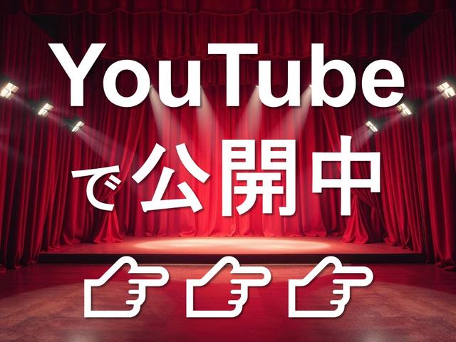 ルークス Ｅ　スマートキー　プッシュスタート　ドアバイザー　純正アルミ　電動格納ミラー　社外ナビ　ワンセグＴＶ　ＣＤ／ＦＭ・ＡＭラジオ　ＥＴＣ　両側スライドドア（68枚目）