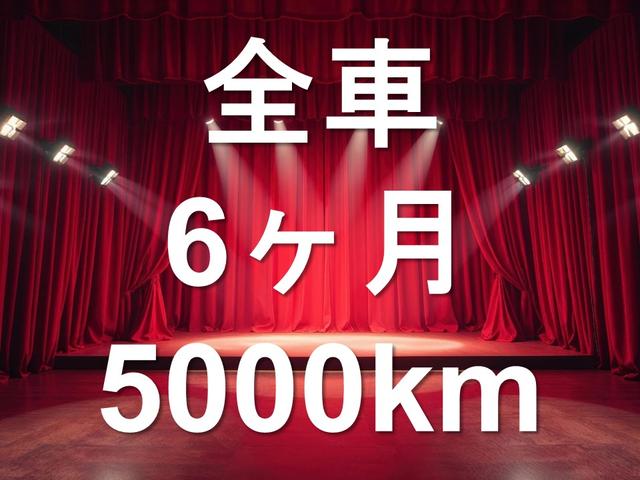 タント Xリミテッド キーレス 電動格納ミラー 左側電動スライドドア 社外ナビ ワンセグTV CD・DVD/FM・AMラジオ(67枚目)