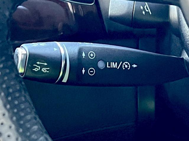 GLS GLS350d 4マチックスポーツ 正規ディーラー点検済・サンルーフ・ナビ・TV・Bluetooth・全方位バックカメラ・ETC(23枚目)