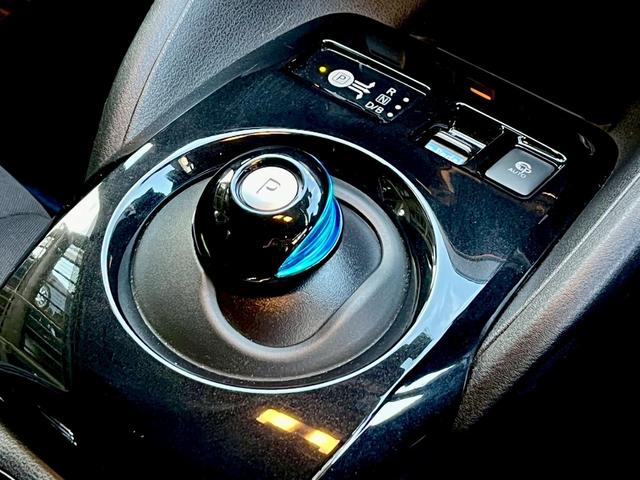 リーフ G プロパイロット・ナビ・TV・Bluetooth・全方位バックカメラ・ETC・ドライブレコーダー(41枚目)