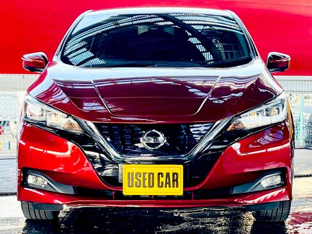 リーフ G プロパイロット・ナビ・TV・Bluetooth・全方位バックカメラ・ETC・ドライブレコーダー(49枚目)