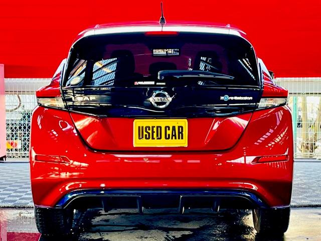 リーフ G プロパイロット・ナビ・TV・Bluetooth・全方位バックカメラ・ETC・ドライブレコーダー(62枚目)