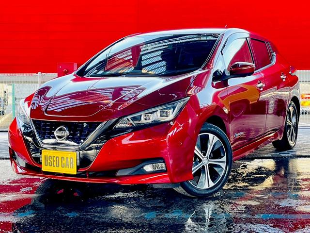 リーフ G プロパイロット・ナビ・TV・Bluetooth・全方位バックカメラ・ETC・ドライブレコーダー(78枚目)