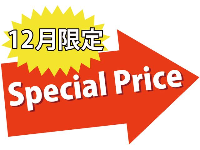 250G Sパッケージリラックスセレクション 純正ナビ(2枚目)
