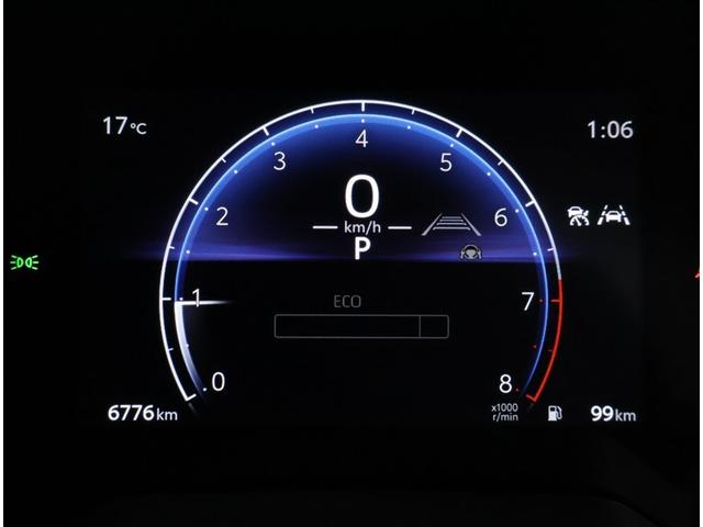 写真撮影時の走行距離です。