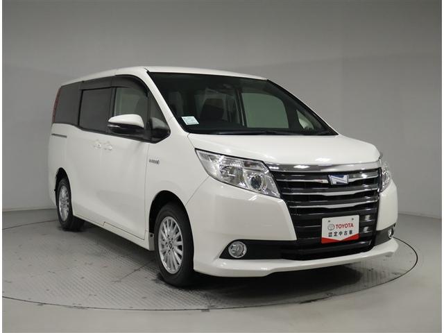 ���ÎԂ̔̔��͌����Ƃ��Ď��Ԃ����Ă���Ƃ����Ē����Ă���܂��B���񌩂ɗ��Ă��������I