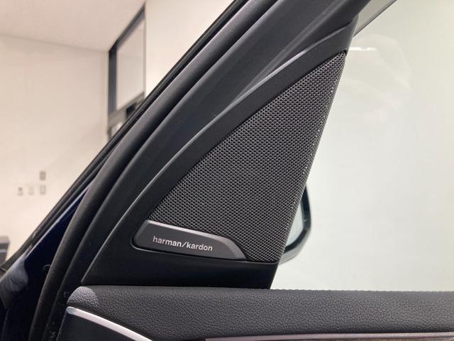 X3 xDrive 20d Mスポーツ 【正規認定中古車】【全国正規ディーラー保証付/2年・走行距離無制限】ブラックレザー電動シート ハーマンカードンスピーカー パノラマサンルーフ 禁煙車ヘッドアップディスプレイ 19インチAW 地デジTV(40枚目)