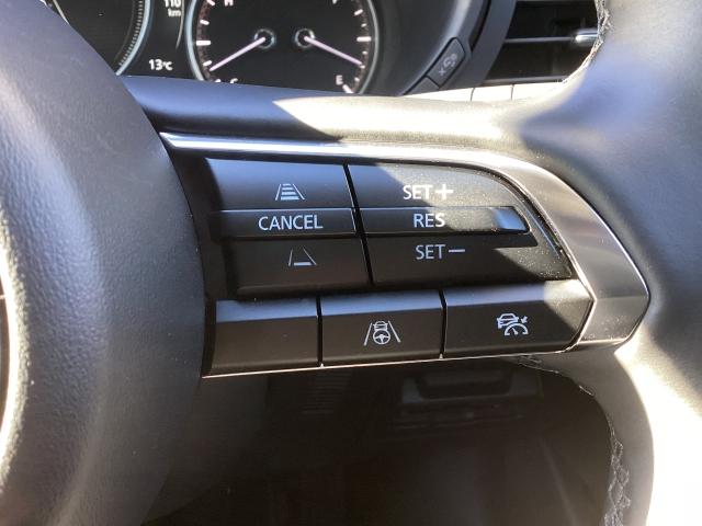 �l�q�b�b�i�}�c�_���[�_�[�N���[�Y�R���g���[���j�͐�s�ԂƂ̎ԊԂ��ێ����Ȃ���Ǐ]���s���s���A�������ł̃h���C�o�[���S���y�������Ă���܂��B