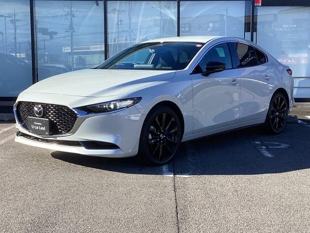 ��i�Ȋ��炩���ƋÏk���ꂽ����I�ȕ\��𕹂������A�w����������x���Ƃ̊��т�����������l�`�y�c�`�R�I