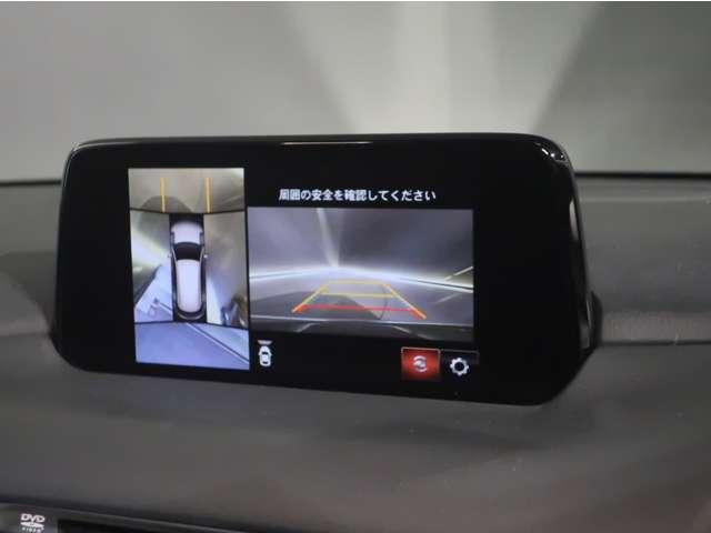 駐車時にサポートしてくれる３６０度モニター付き！