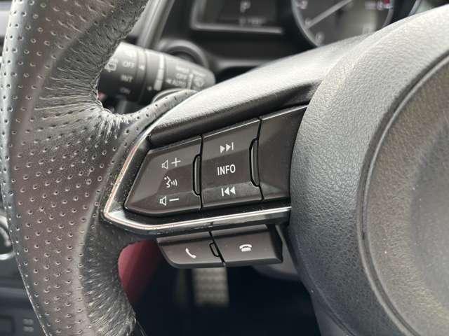 ＣＸ－３ ２．０　２０Ｓ　プロアクティブ　フルエアロ　外ステアリング　ＥＴＣ　純正ナビ（19枚目）