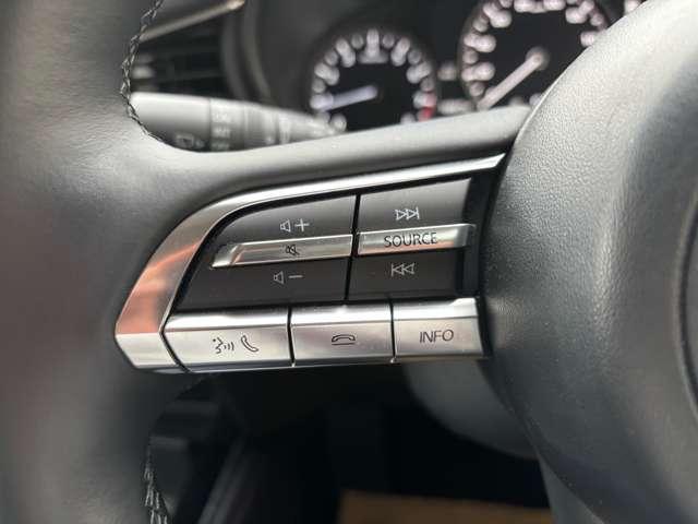 ＣＸ－３０ ２．０　２０Ｓ　ブラックトーンエディション　ＥＴＣ　純正ドライブレコーダー（前後）　スマートブレーキ　Ｂカメラ　ＡＣＣ　スマートキー　パワーシート　フルセグ　メモリーナビ　ＬＥＤヘッド　パワーバックドア　アルミホイール　ＥＴＣ　３６０カメラ（19枚目）