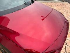 �Хå���Ǽ����������»ܤ��Ƥ���Τ������Ϥ��Ȥʤ�ޤ��Τǡ�Ǽ�ָ��¿����Ƥ���ꤤ�������ޤ��� 7