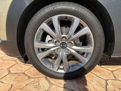 ʧۤˤոϿѡǼޤǤޤʱϿΦӡˡϿΦбƤޤ 5