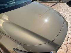 ХåǼ»ܤƤΤϤȤʤޤΤǡǼָ¿Ƥꤤޤ 6