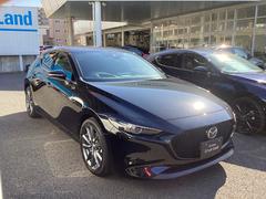 Фʤ롢ɥ饤Сꥨƥåɤʶ֤ȡ̤񸽲ΥƥꥢǥǤ 3