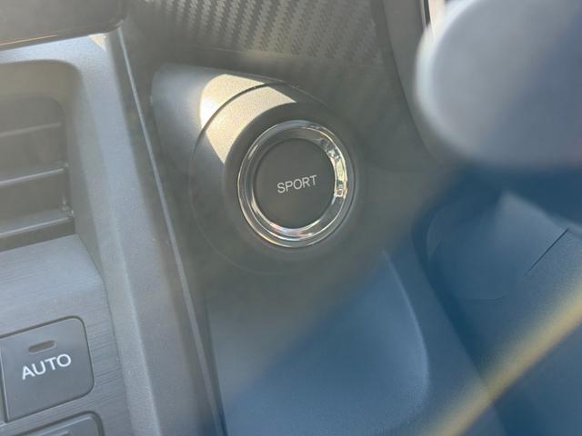 S660 α 走行距離22000キロ リモコンキープッシュスタート バックカメラ ディスプレイオーディオ ステアリングスイッチ パドルシフト ドライブレコーダー付(37枚目)