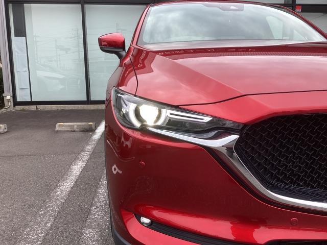 ＣＸ－５ ２．２　ＸＤ　Ｅｘｃｌｕｓｉｖｅ　Ｍｏｄｅ　ＤＥ－Ｔ　８インチＷＶＧＡディスプレイ　車線逸脱警報システム　ＡＴ誤発進抑制制御　ＢＳＭ　ＳＢＳ　ＭＲＣＣ付　３６０°ビューモニター付　１オーナー車　地デジ　レーンキープ　盗難防止装置　サンルーフ　本革シート（31枚目）
