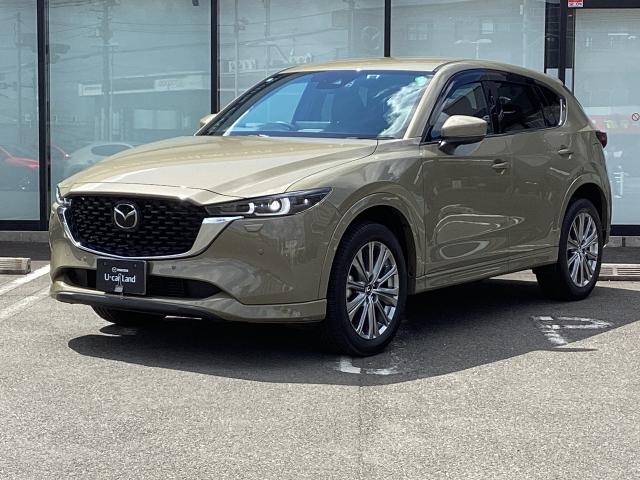 ＣＸ－５ ２．２　ＸＤ　Ｅｘｃｌｕｓｉｖｅ　Ｍｏｄｅ　４ＷＤ　１０．２５インチセンターディスプレイ　衝突被害軽減ブレーキ　ＡＴ誤発進抑制制御　レーンキープアシスト　車線逸脱警報　ブラインドスポットモニタリング　カープレイ対応　１オーナー車　地デジ　レーンキープ（35枚目）