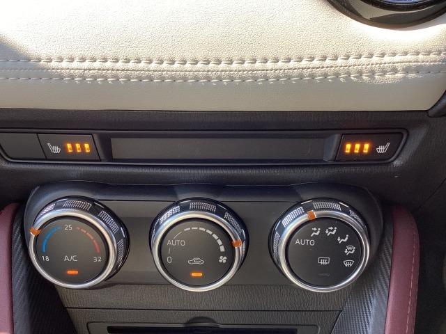 ＣＸ－３ １．５　ＸＤ　Ｔｏｕｒｉｎｇ　Ｌ－Ｐａｃｋａｇｅ　４ＷＤ　７インチＷＶＧＡセンターディスプレイ　車線逸脱警報システム　スマートシティブレーキサポート付　リアカメラ　本革シート　追従クルコン　Ｄターボ　ＬＥＤライト　ＡＷＤ　イモビライザー　横滑り防止　記録簿（17枚目）