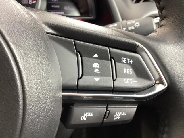 ＭＡＺＤＡ２ １．５　１５ＢＤ　パノラマモニタ　ブルートゥース　スマートシティブレーキサポート　前後ソナー　レーダークルーズ　ＬＥＤヘッドランプ　フルセグＴＶ　ワンオーナー　バックカメラ　ＥＴＣ　アドバンストキー　ＵＳＢ　エアコン（21枚目）