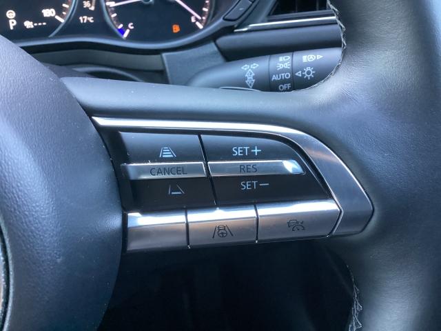 ＣＸ－３０ ２０Ｓ　ＰＲＯＡＣＴＩＶＥ　Ｔｏｕｒｉｎｇ　Ｓｅｌｅｃｔｉｏ　８．８インチセンターディスプレイ　３６０度ビューモニター　ＡＴ誤発進抑制制御　車線逸脱警報　ブラインドスポットモニタリング　カープレイ対応　Ｂｌｕｅｔｏｏｔｈオーディオ　電動テールゲート　衝突軽減装置（22枚目）