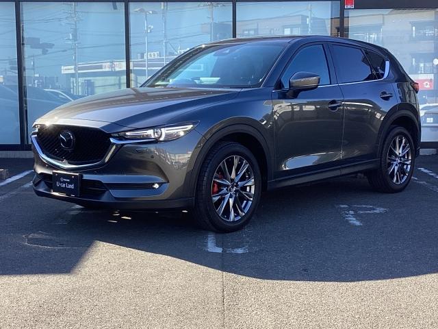 ＣＸ－５ ２．２　ＸＤ　Ｅｘｃｌｕｓｉｖｅ　Ｍｏｄｅ　ＤＥ－Ｔ　４ＷＤ　１０．２５インチセンターディスプレイ　衝突被害軽減ブレーキ　ＡＴ誤発進抑制制御　レーンキープアシスト　車線逸脱警報　ブラインドスポットモニタリング　カープレイ対応　１オーナー車　地デジ　レーンキープ（35枚目）