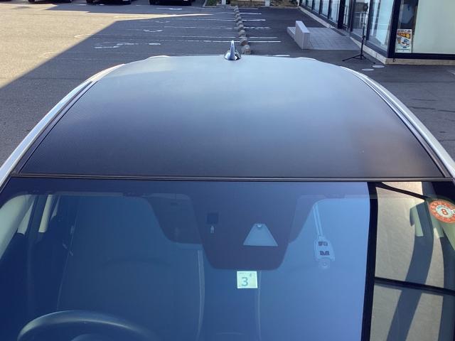 ���[�J�[�I�v�V�����̃J�[�{�������[�t