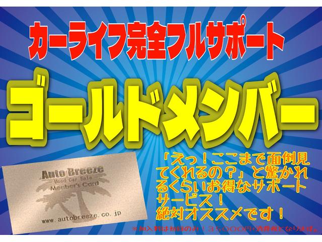 ポルテ Ｆ　アラモード　パワースライドドア　Ｂカメラ　ＳＤナビＴＶ　ブルートゥース対応　ＥＴＣ　スマートキー　ＴＲＣ　純正フォグ　タイミングチェーン（46枚目）